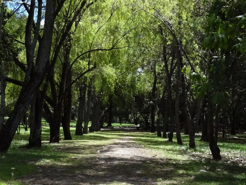 Jardín Botanico by Alejandro Tibaquira