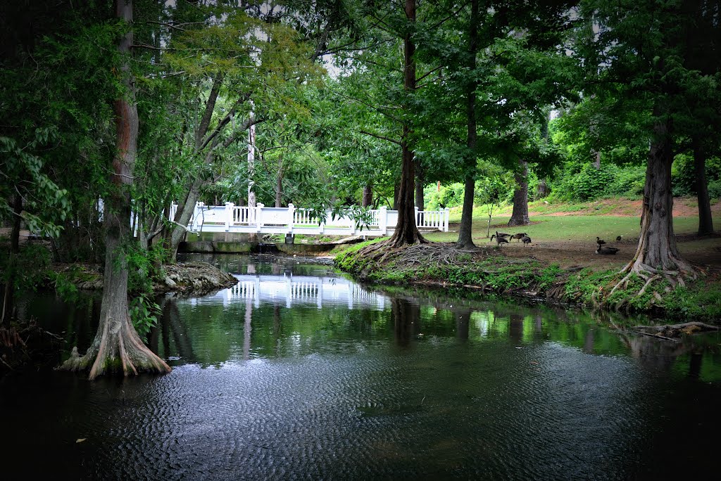 Pond at Fairhope Park by leigh49137