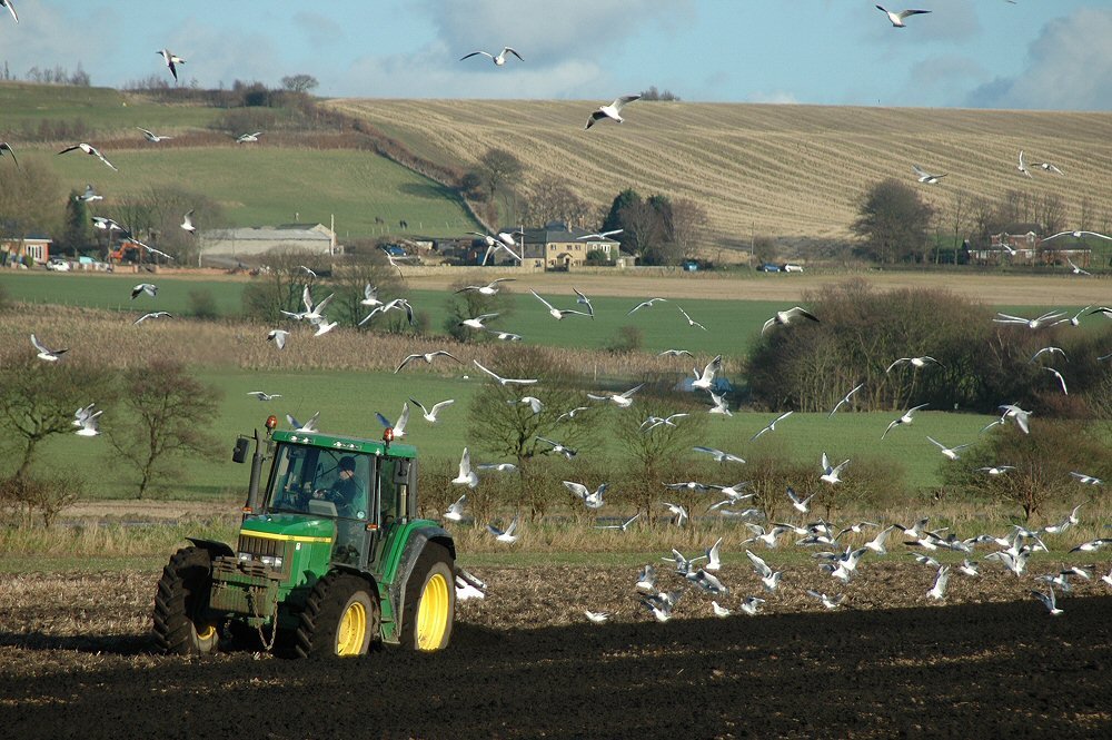 Following the plough by David Humphreys