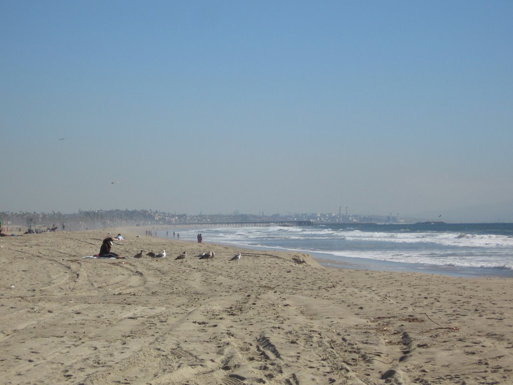 Venice Beach by Stevan Gaskill