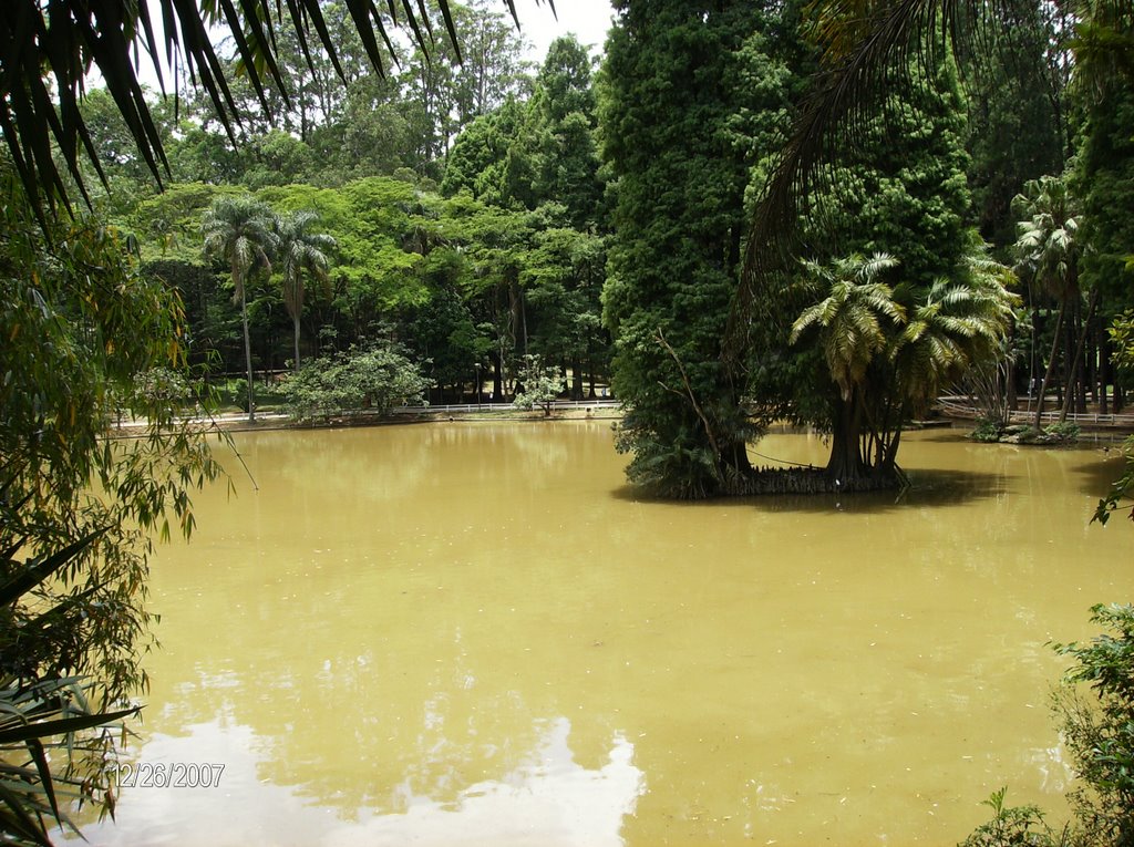 Lagoa do Horto Florestal by chacalzinho