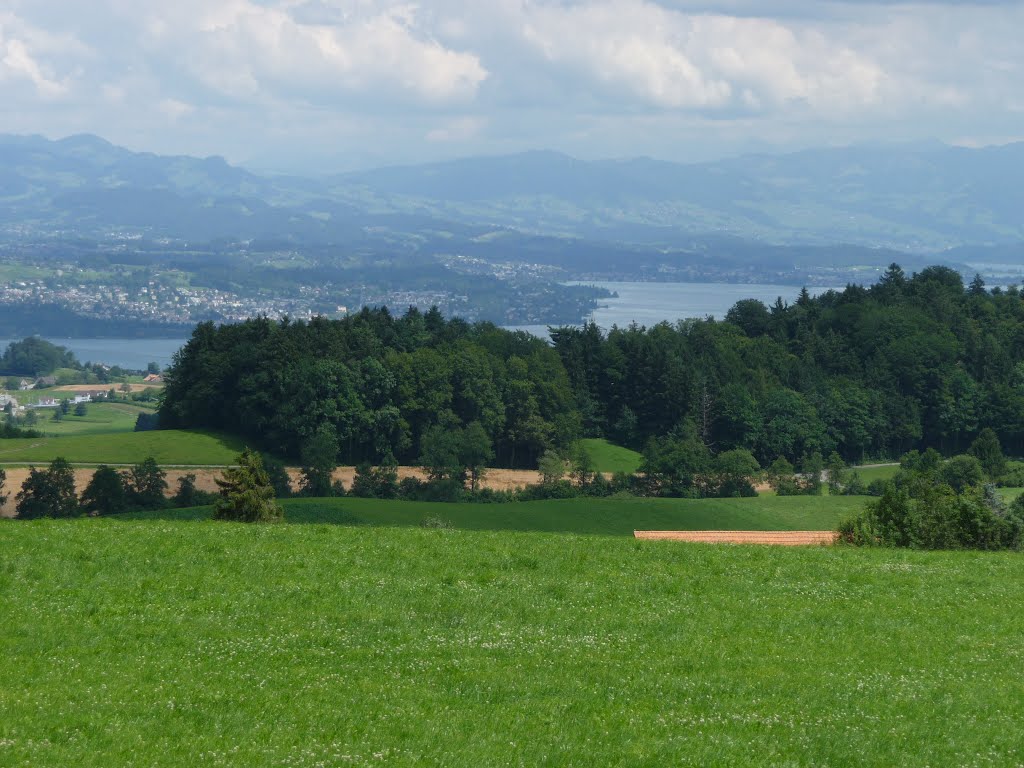 Landschaft bei Hirzel by bienenritter