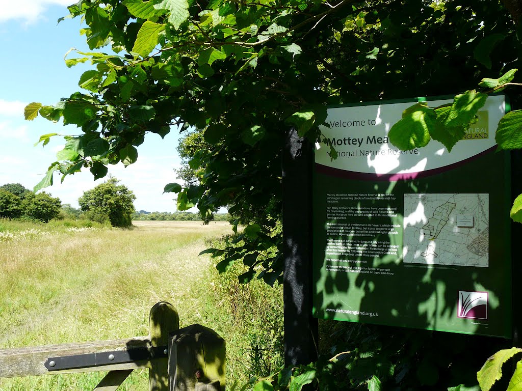 Mottey Meadows by St Remi