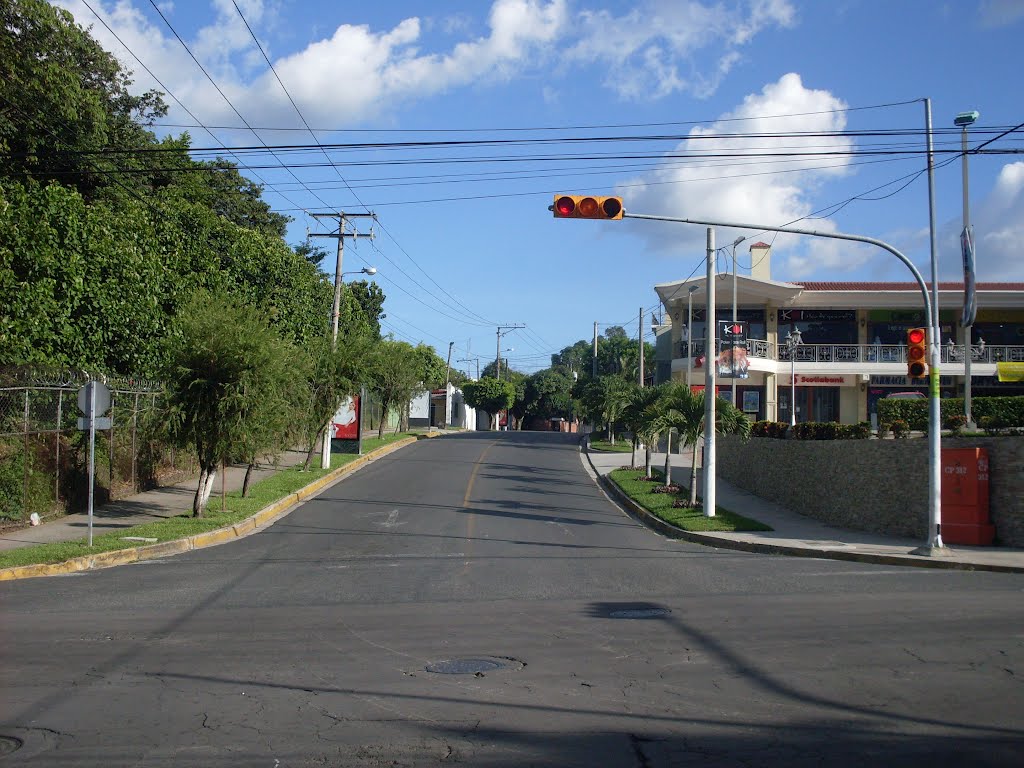 Avenida Las Azaleas vista hacia el sur by JMRAFFi