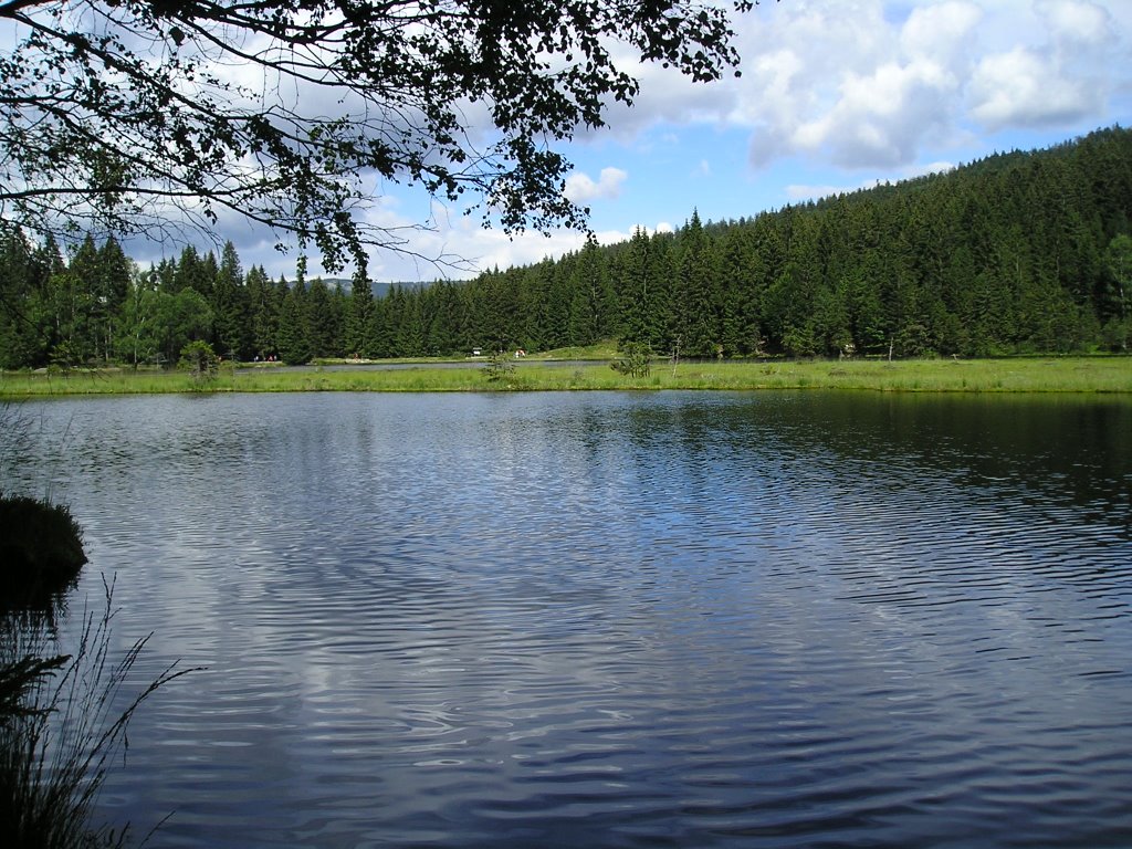 Kleiner Arbersee by photohannes