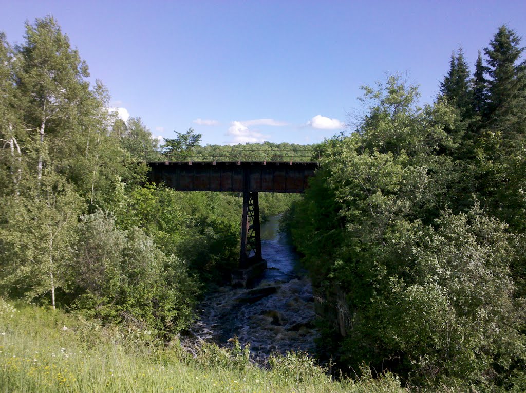 Stream & railroad bridge - June 2012 by RoadWearier