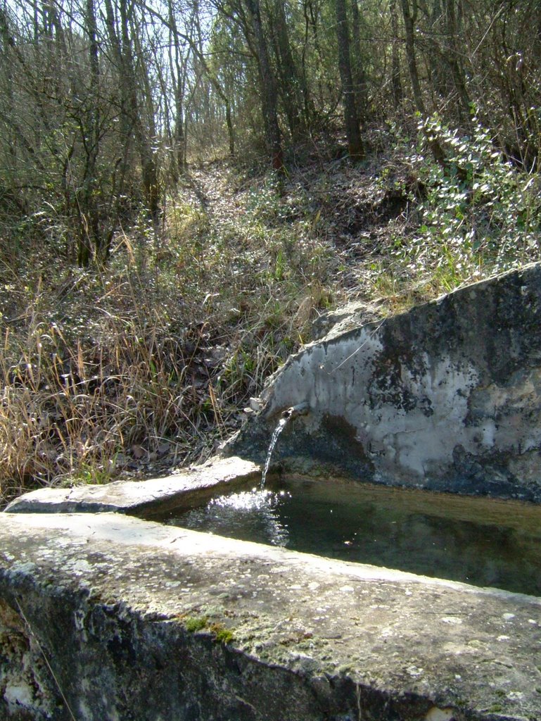 Fuente del Ruiseñor, pilón y bajada by QiKe