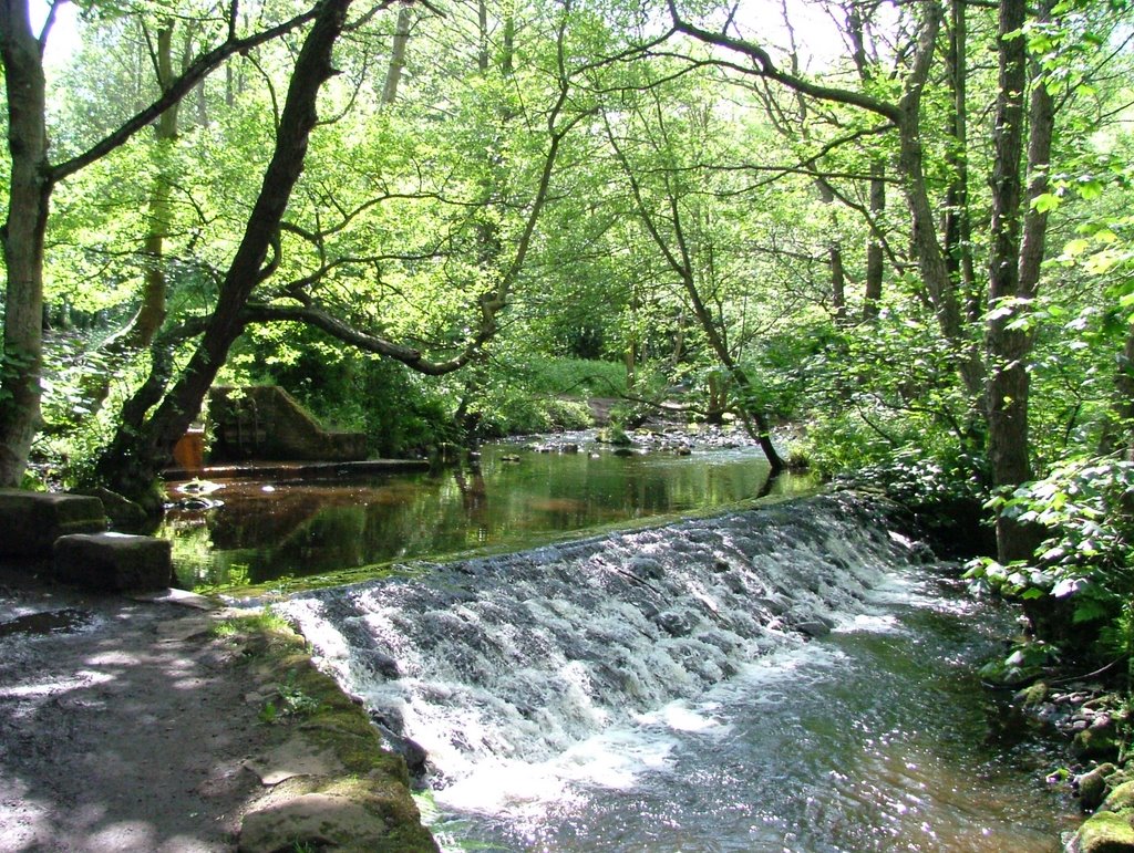 Rivelin Valley by PMGsPictures