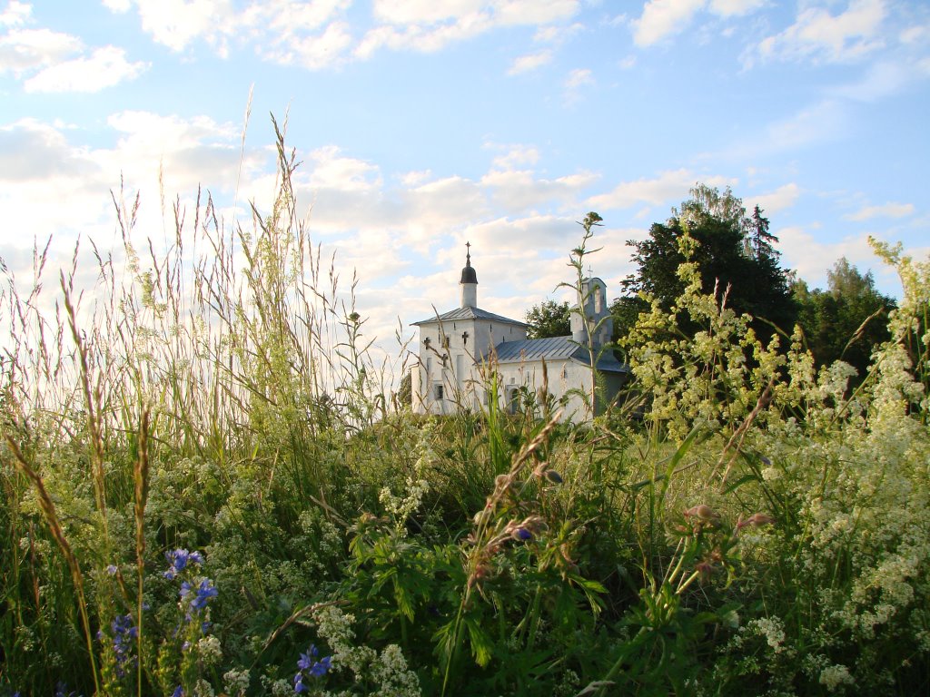 Izborsk, Pskov Oblast, Russia, 181518 by klosk