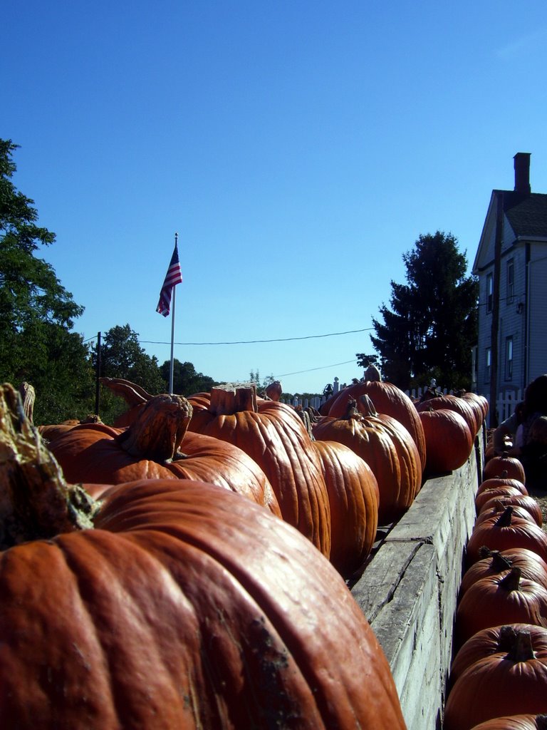 YUMMY!! pumpkin pie time @ Dr. Davies Farm Congers,NY by Manuel Santiago