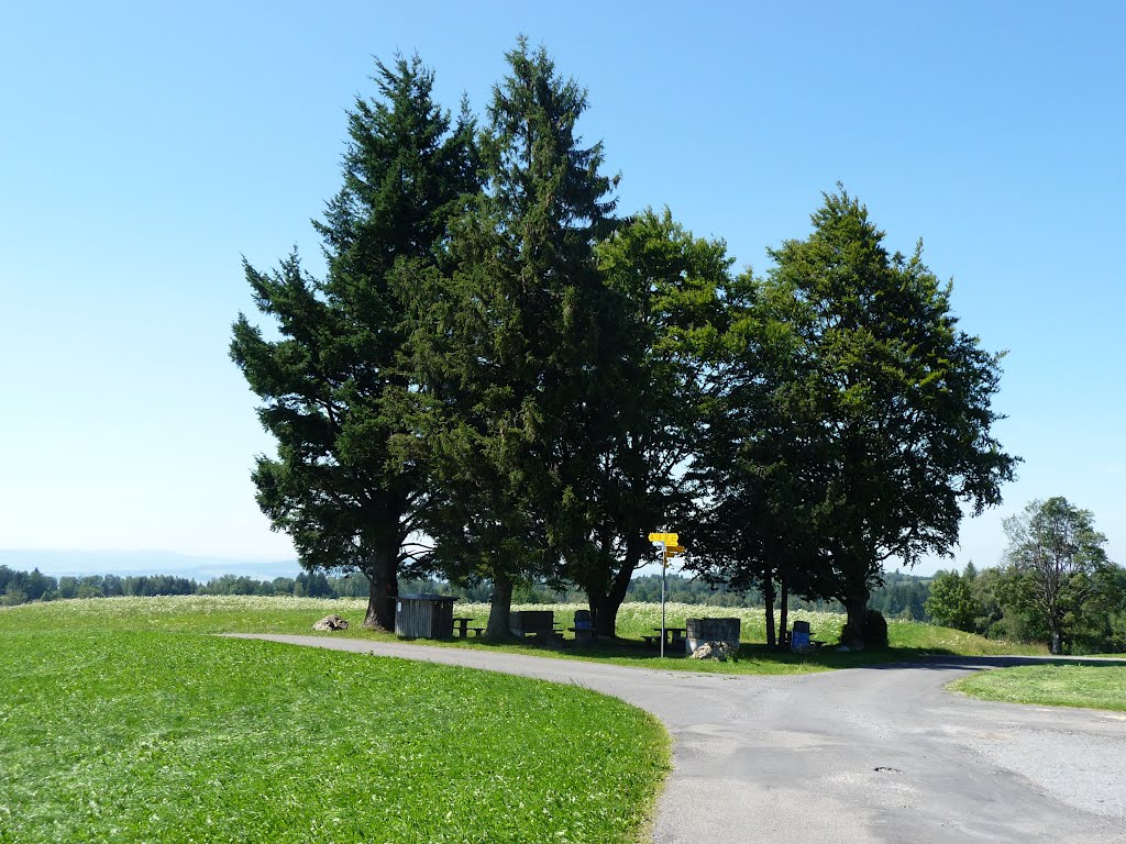 Grillplatz mit Gratisholz beim Buschenkäppeli by bienenritter