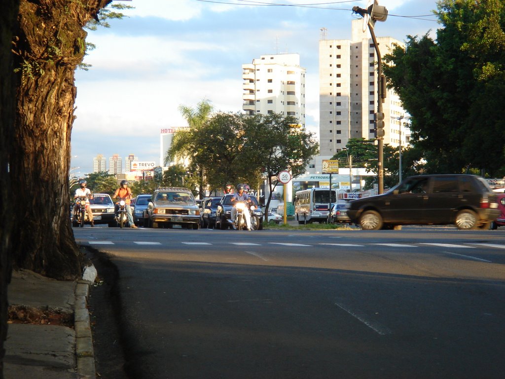 RODRIGUES COM NAÇÕES by koji