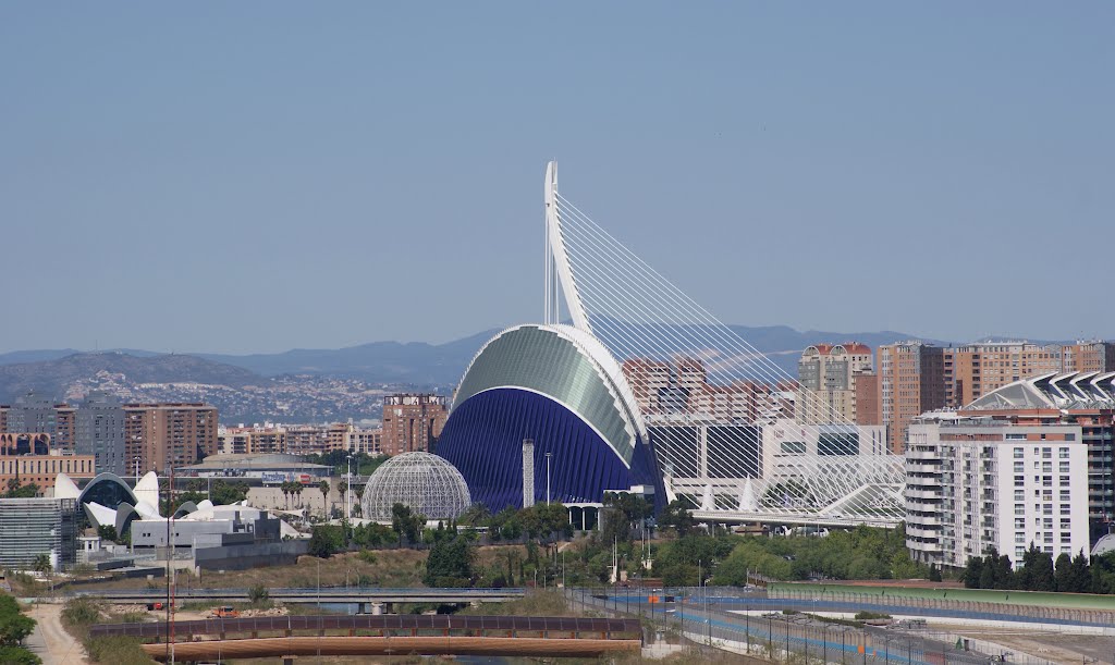 Città delle arti e delle scienze - L'Agorà - Valencia by Luigi Giannini