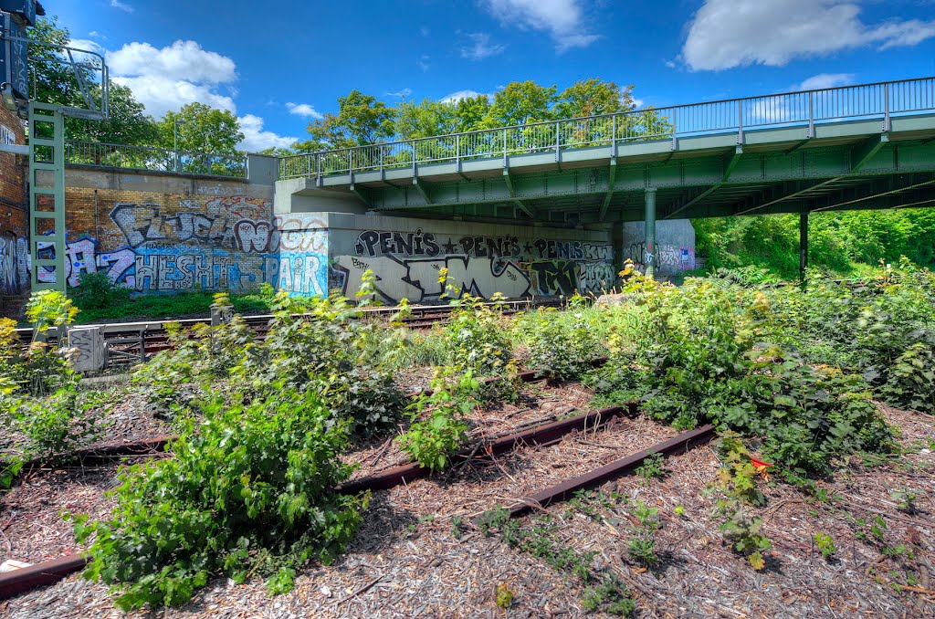 Alte Gleise neben der S-Bahn by DetKan