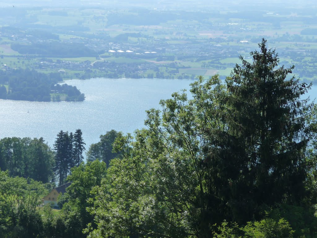 Zugersee und Gemeinde Risch by bienenritter