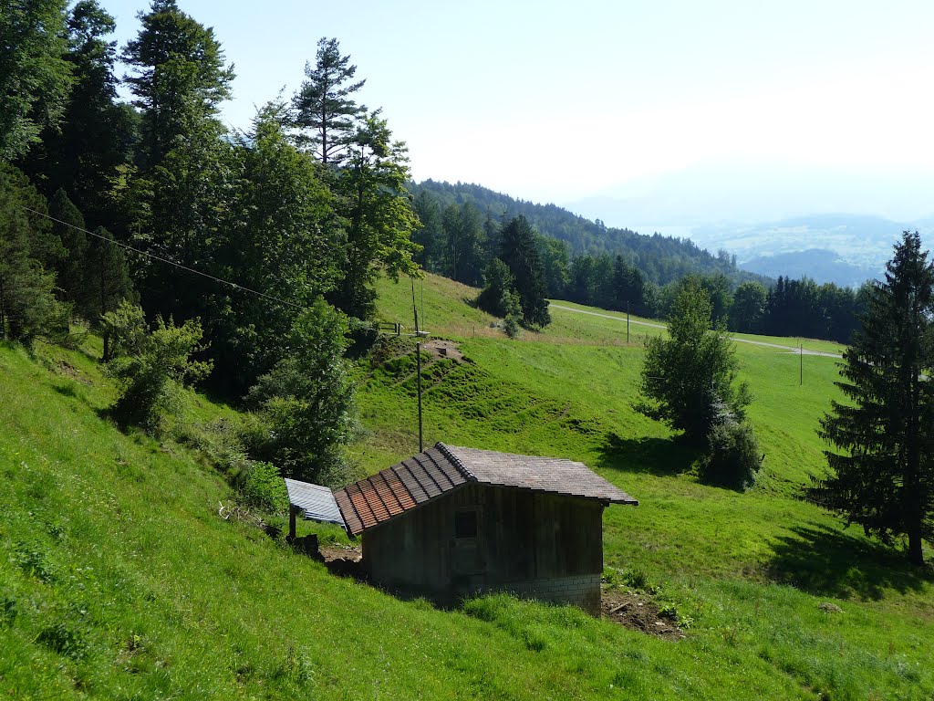 Der Westhang des Zugerberges by bienenritter