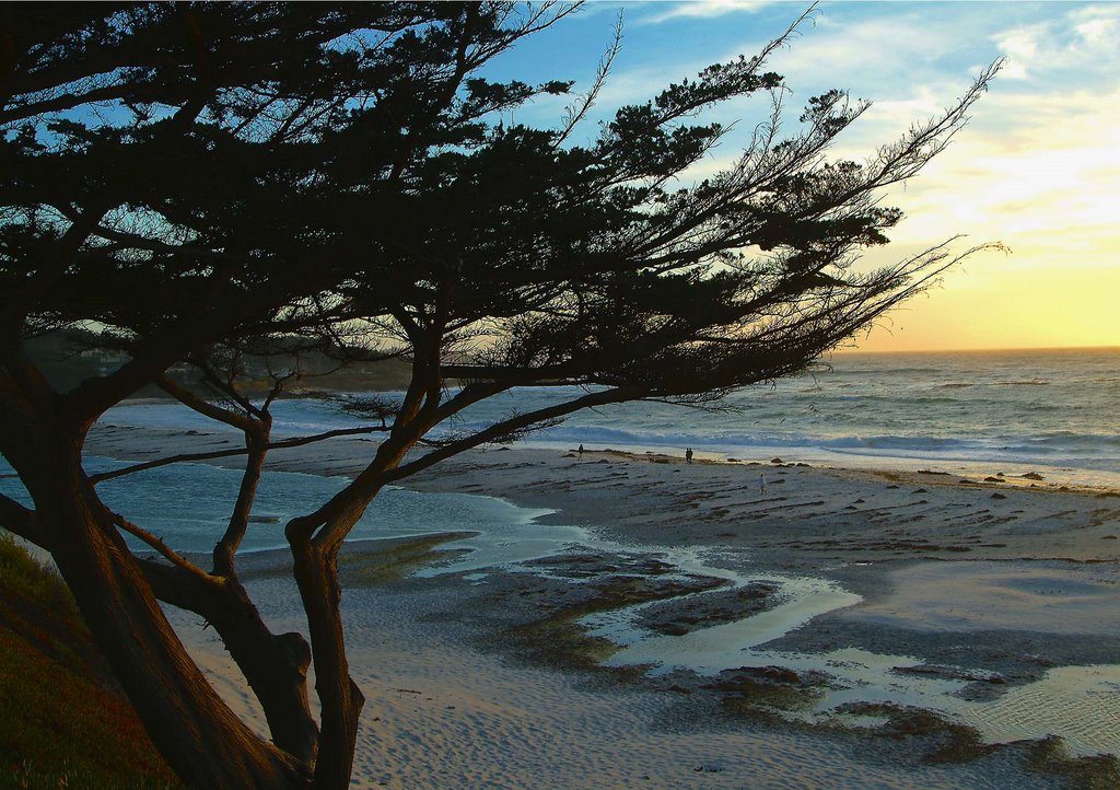 Carmel Beach by evokingimages