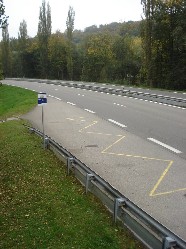 Arrêt Lignes de Haute-Alsace "Passerelle Saint-Morand" by SocoA