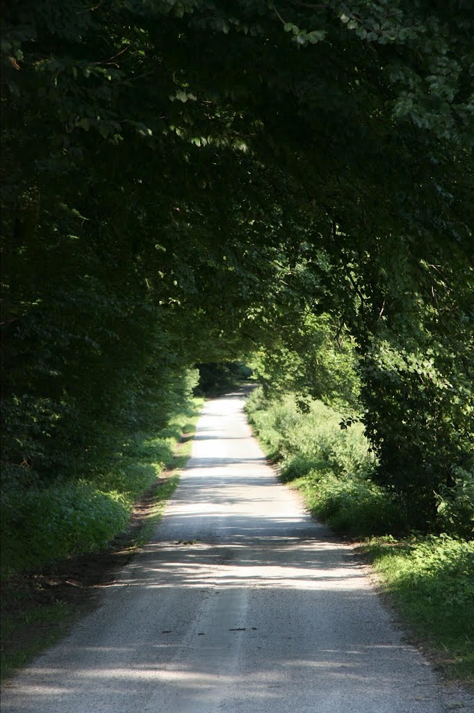 Verwunschener Weg in Uphoven, Nottuln by gustl