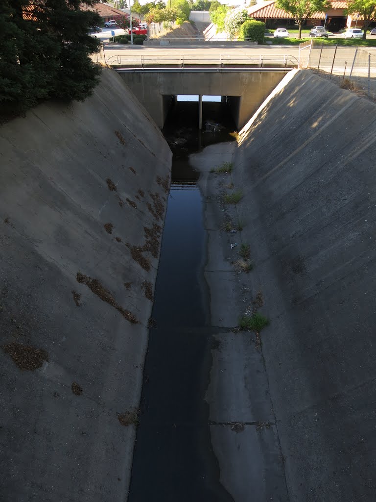 Chicken Ranch Slough from foot bridge (looking north) by VasMan