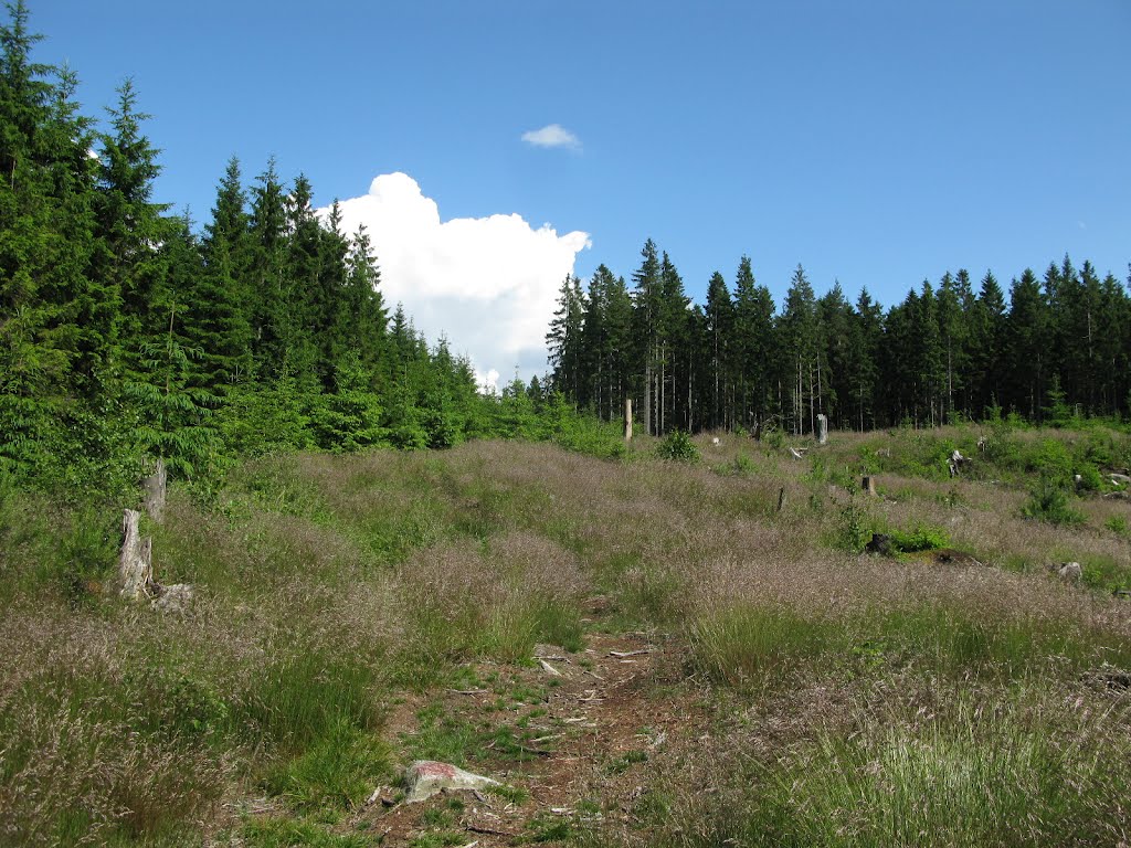 Vildmarksleden trail south of Lerum 2012 by Biketommy