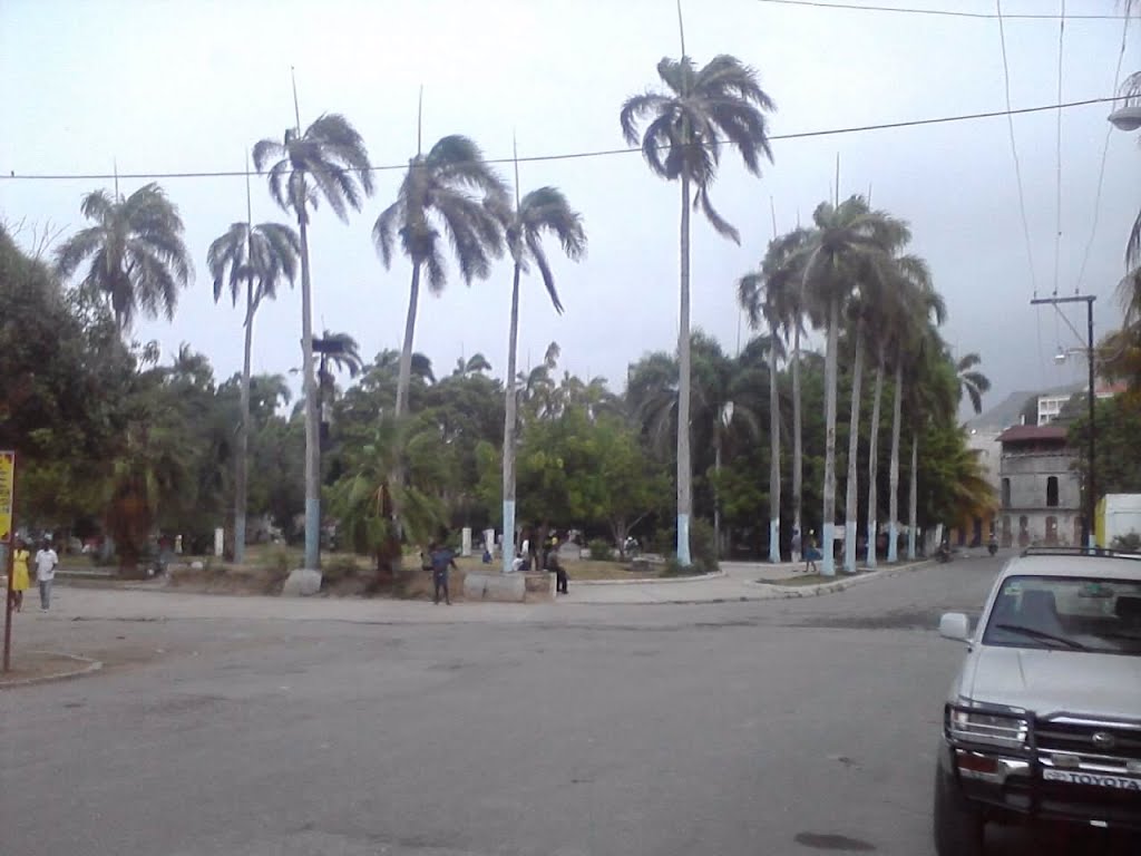 Palmiers sur la place de carrenage by la treve