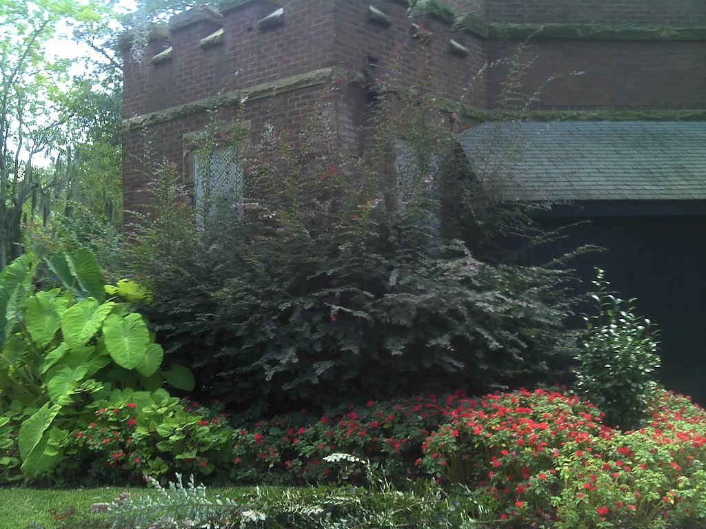 MUSC Waring Library rear July 2011 by MUSC Arb