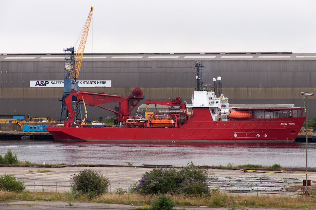 Acergy Osprey at A&P Tyne by Graham Turnbull