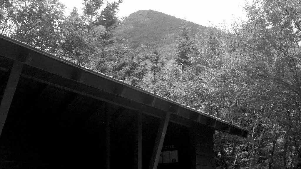 Lower Lion Head Peak from Hermit Lake Lean-To Next to Tuckerman Ravine Trail, 07222012 by Arkie_in_CT