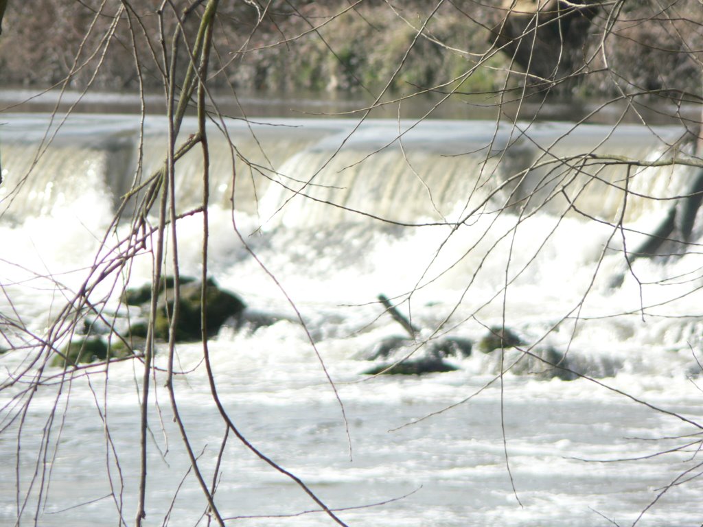 Sprotborough Falls (weir), River Don by Rod Jacobsen