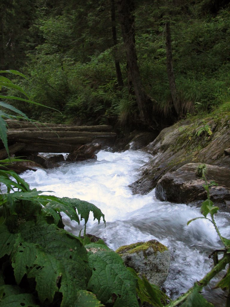 Valea Sambetei by Liviu Chirilă