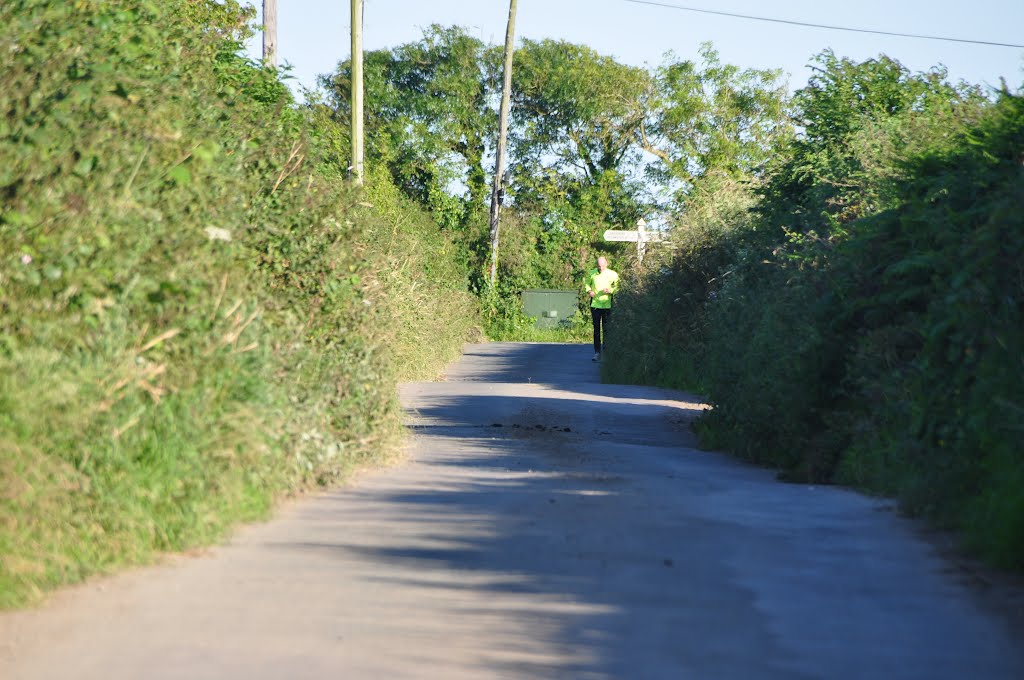 South Hams : Gabber Lane by A Photographer