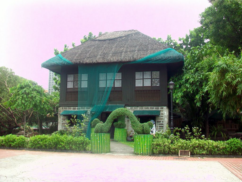 Luneta Park House by Florante