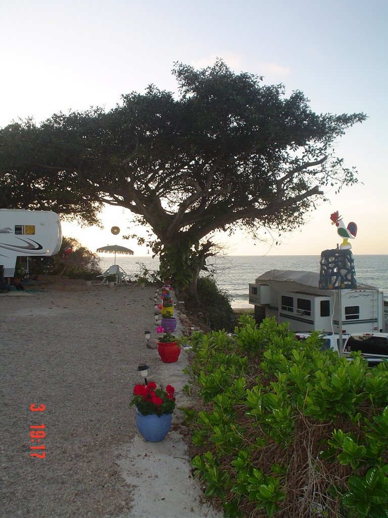 Tree with pots by Oscar.Gutierrez.Anguiano