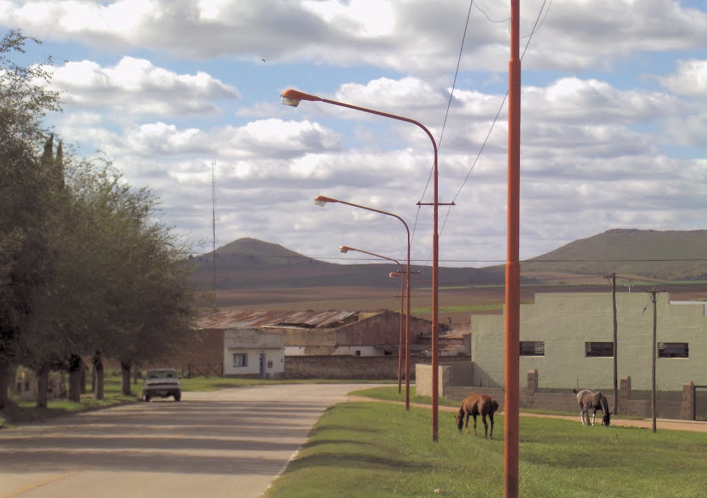 Av. Antártida Argentina by Elizabeth Takacs