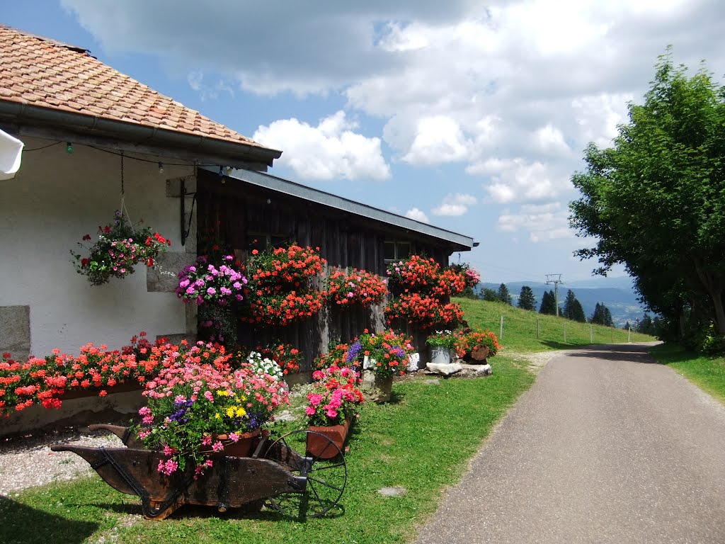 Auberge la Robellaz.(Jura Suisse) by hubert39