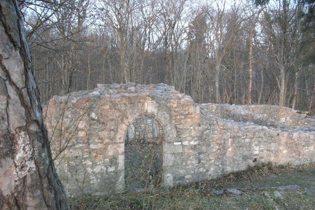 Ruine beim Chlaiflüeli by Adrian Bill