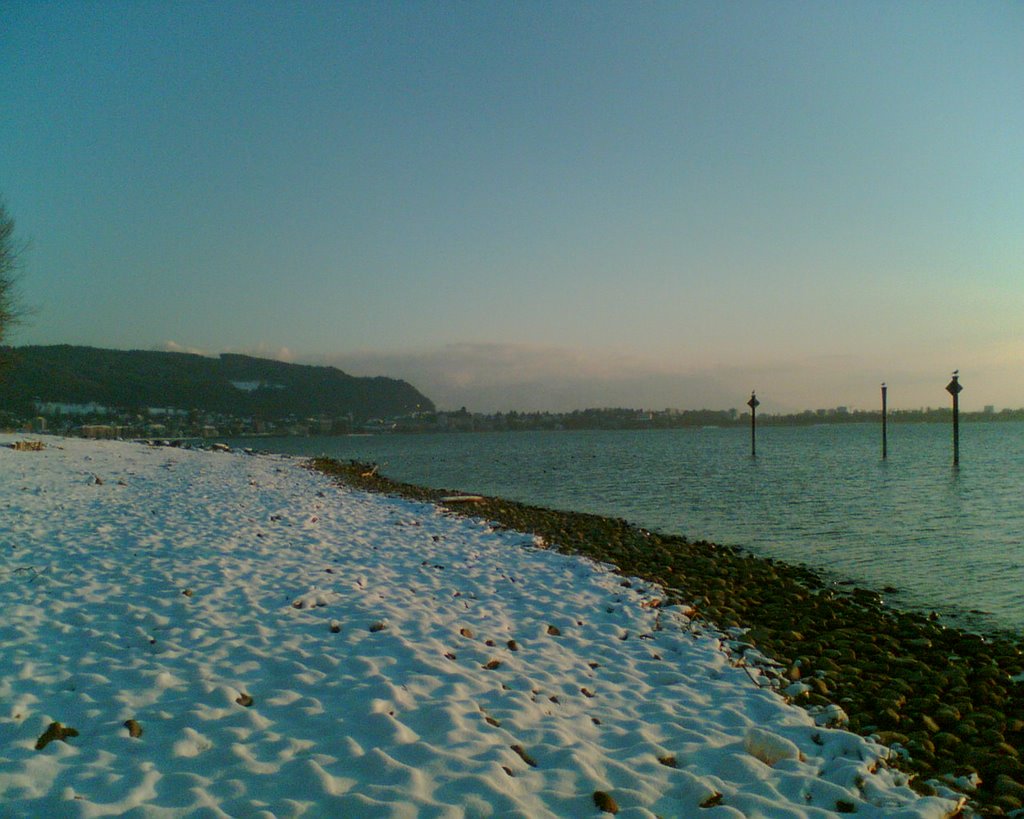 Blick nach Bregenz im Winter by oleg.f