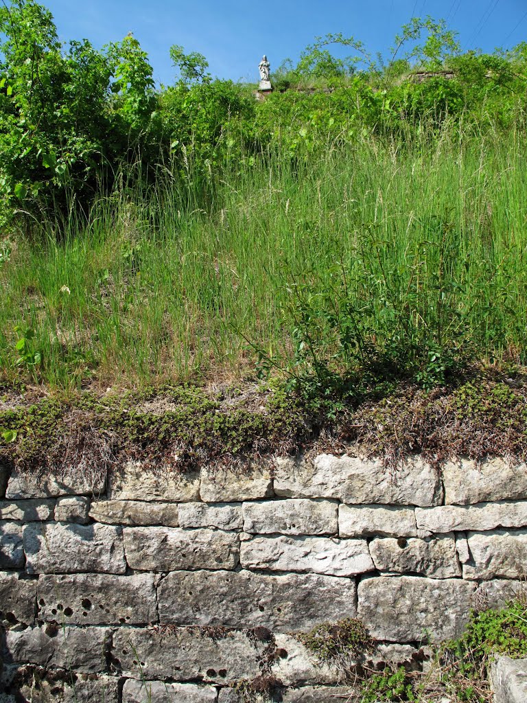 Auf dem beschwerlichen Weg zu Jesus (auf dem Scheuerbergle) by lebola