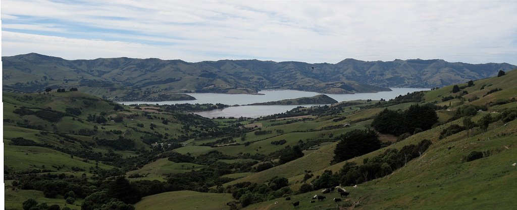 On the way to Akaroa by Rob-Walker