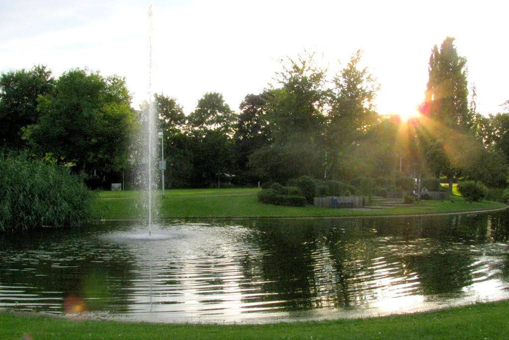 Hattersheim: Abend im Stadtpark by Dieter Möller