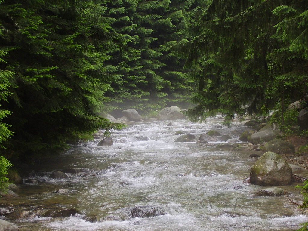 Open-air museum - creek by anarieska