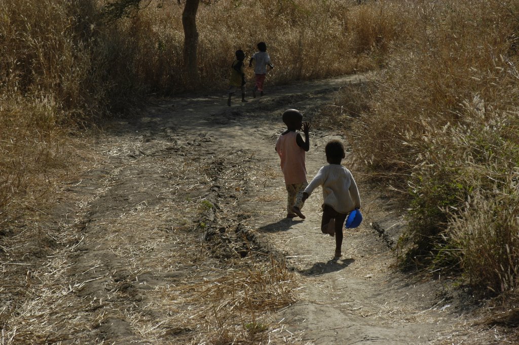 Course le long du chemin by Emmanuel Gabolde