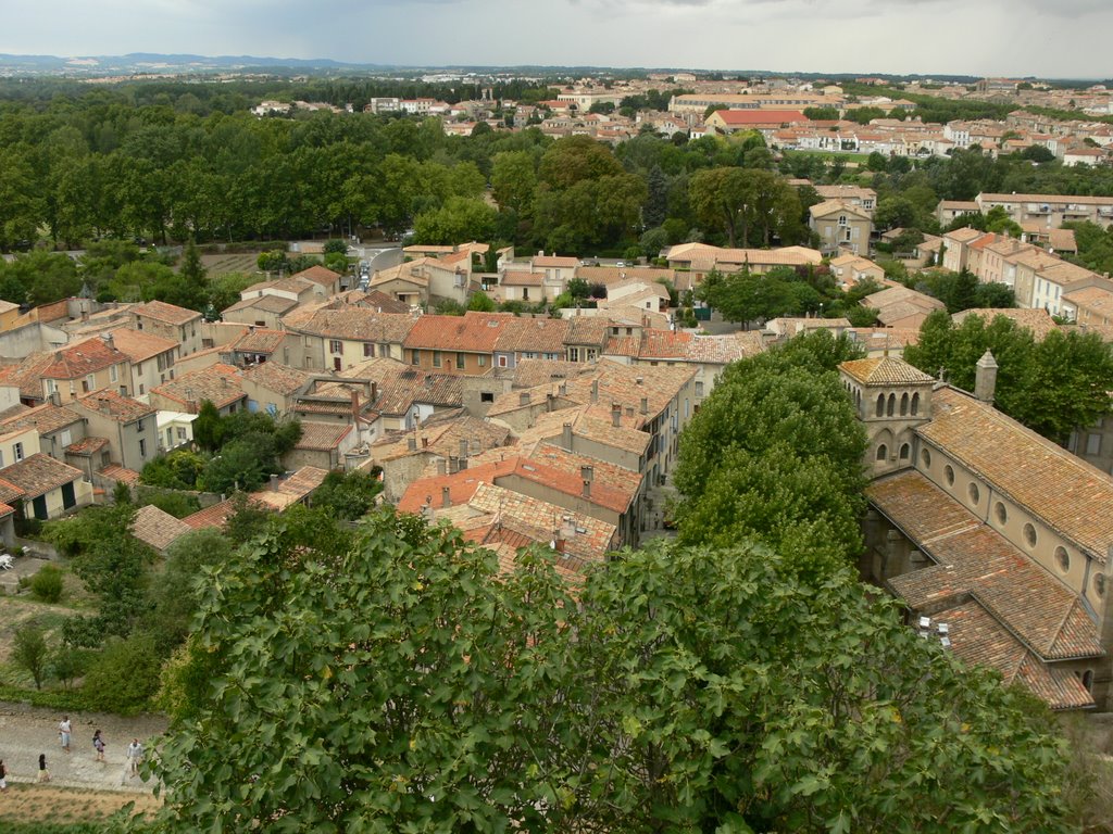 Carcassonne (Aude) by jasonvy7