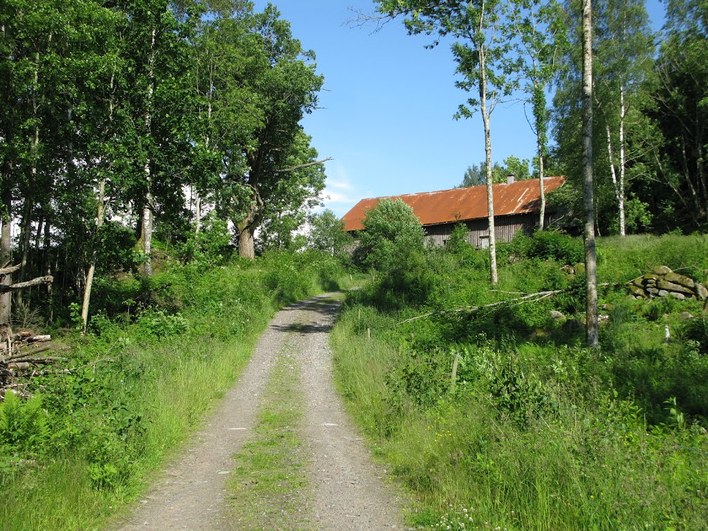 Vildmarksleden trail northwest of Hindås in Limmerhult 2012 by Biketommy