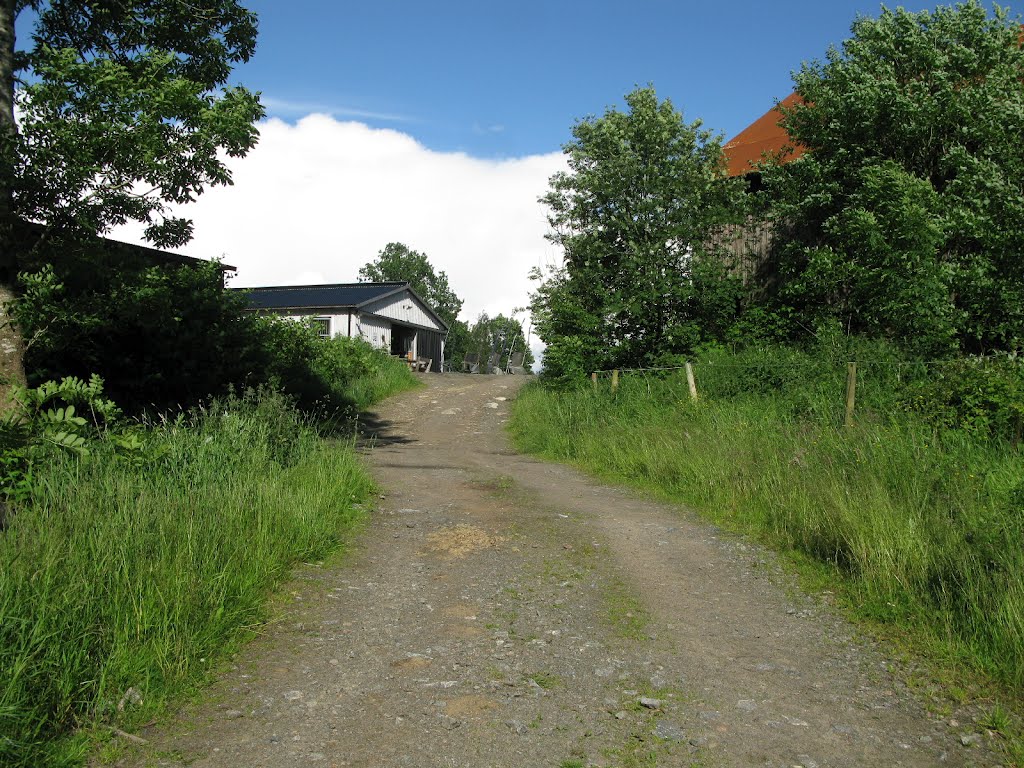 Vildmarksleden trail northwest of Hindås in Limmerhult 2012 by Biketommy