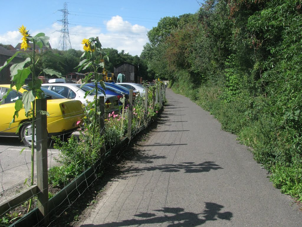 Cycleway Shadows by dave_roberts_wales