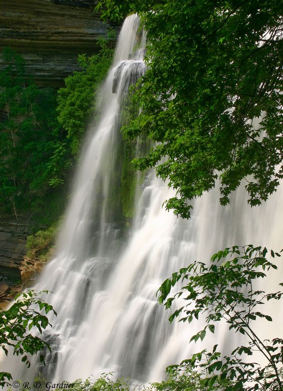 Burgess Falls from the side by R. D. Gardner