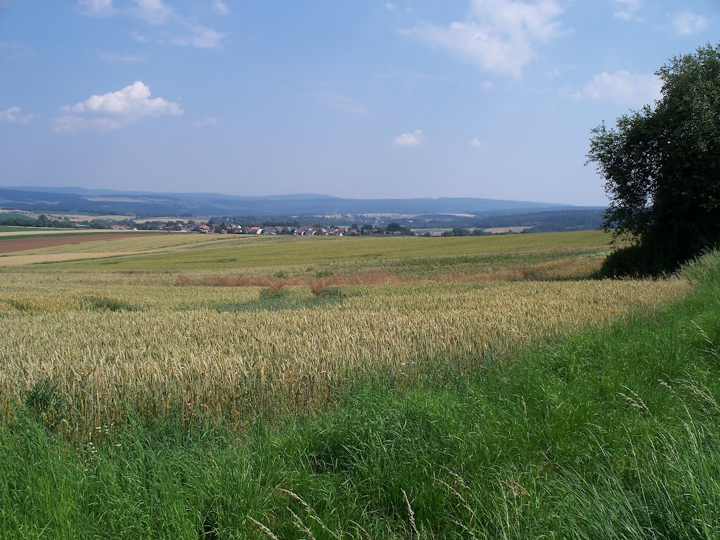 Lohfelden Blick in das Kasseler Becken 27.7.2012 by Buchautor u. Schriftsteller Winfried Schäfer 