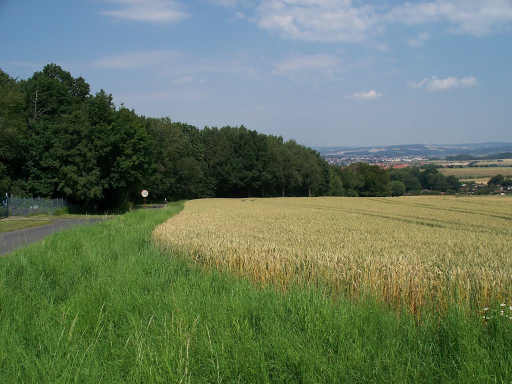 Lohfelden Blick in das Kasseler Becken 27.7.2012 by Buchautor u. Schriftsteller Winfried Schäfer 